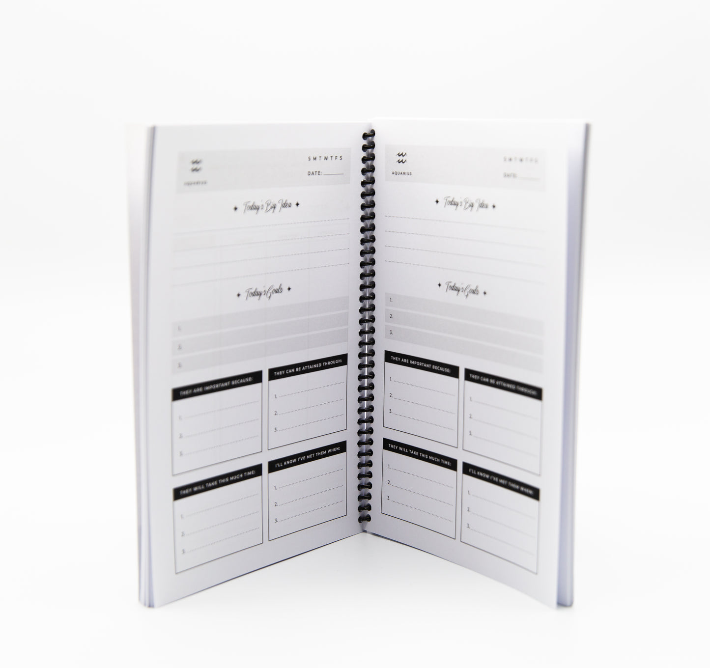 Aquarius Affirmation Day Planner | 4-Month Undated - Affirmicious
